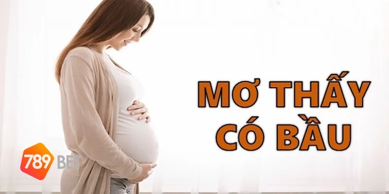 bạn mơ thấy mình có bầu - giải mã giâc mơ 1
