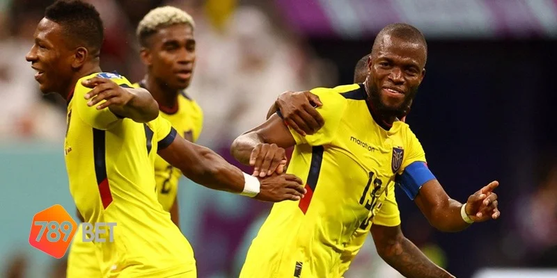 chủ nhà qatar nếm trái đắng trước đội tuyển ecuado