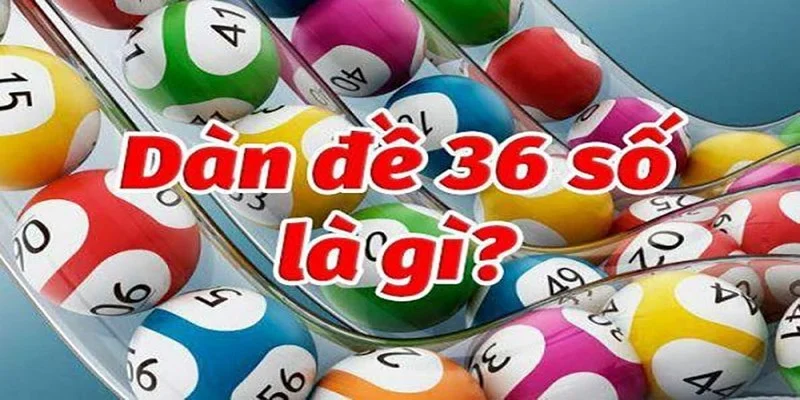 dan-de-36-so-la-gi