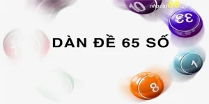 dan-de-65-so