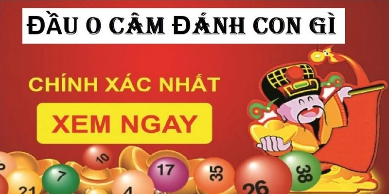dau-0-cam-mai-danh-gi