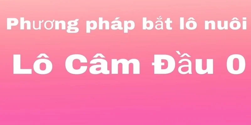 dau-0-cam-mai-danh-gi-phuong-phap