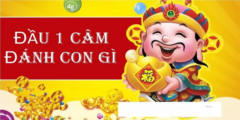 dau-1-cam-2-hom-danh-con-gi