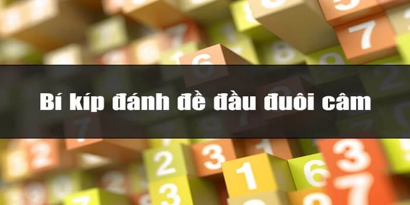 dau-1-cam-2-hom-danh-con-gi-bi-kip