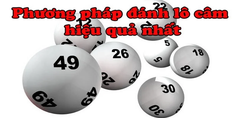 dau-2-cam-thi-danh-con-gi-phuong-phap