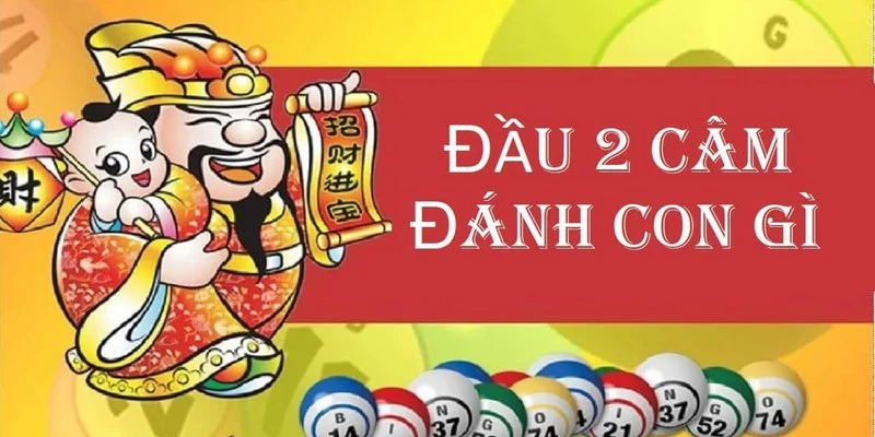 dau-2-cam-thi-danh-con-gi