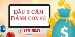 dau-3-cam-nen-danh-con-gi