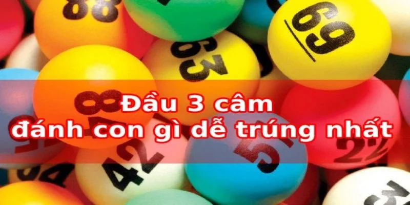 dau-3-cam-nen-danh-con-gi-de-trung