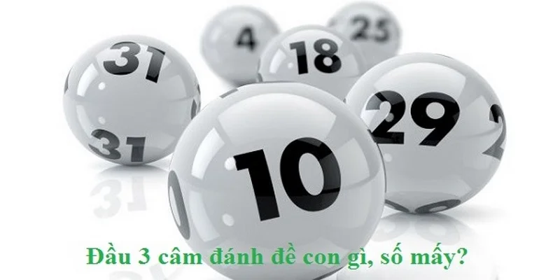 dau-3-cam-nen-danh-con-gi-tim-hieu
