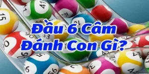 dau-6-cam-2-ngay-danh-con-gi