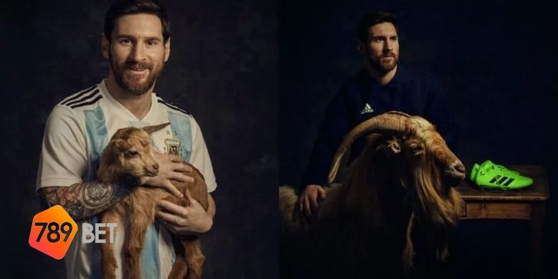 goat la gì tìm hiểu cùng 789bet