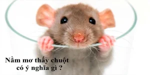 nằm mơ thấy chuột đánh số gì 3