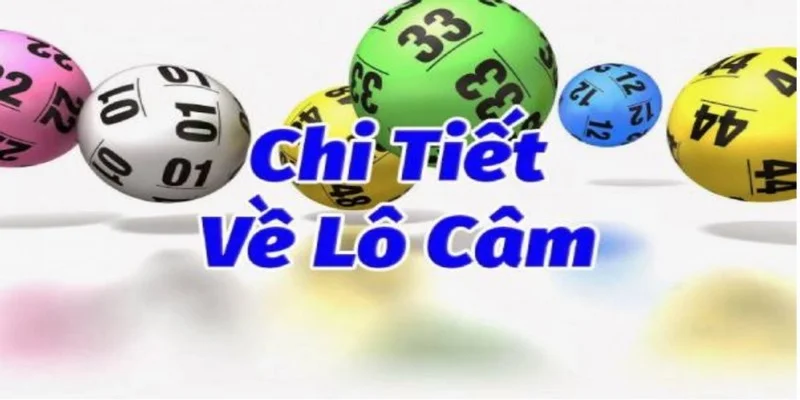 tim-hieu-ve-lo-cam-chi-tiet