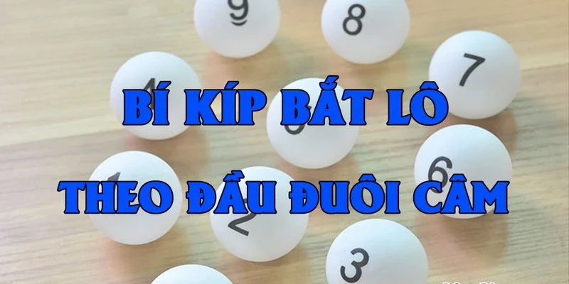 tim-hieu-ve-lo-cam